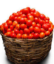 TOMATOES(BASKET)