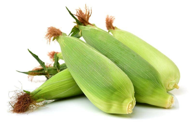 FRESH CORN