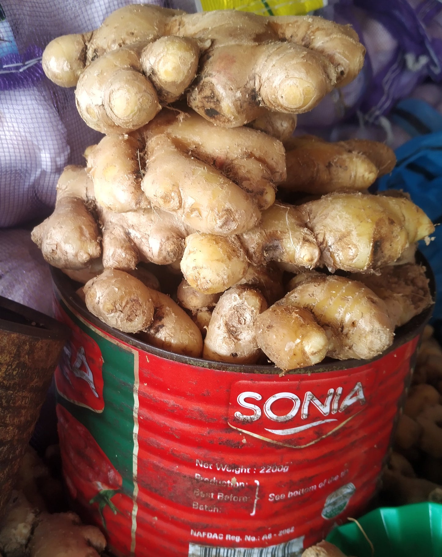 FRESH GINGER