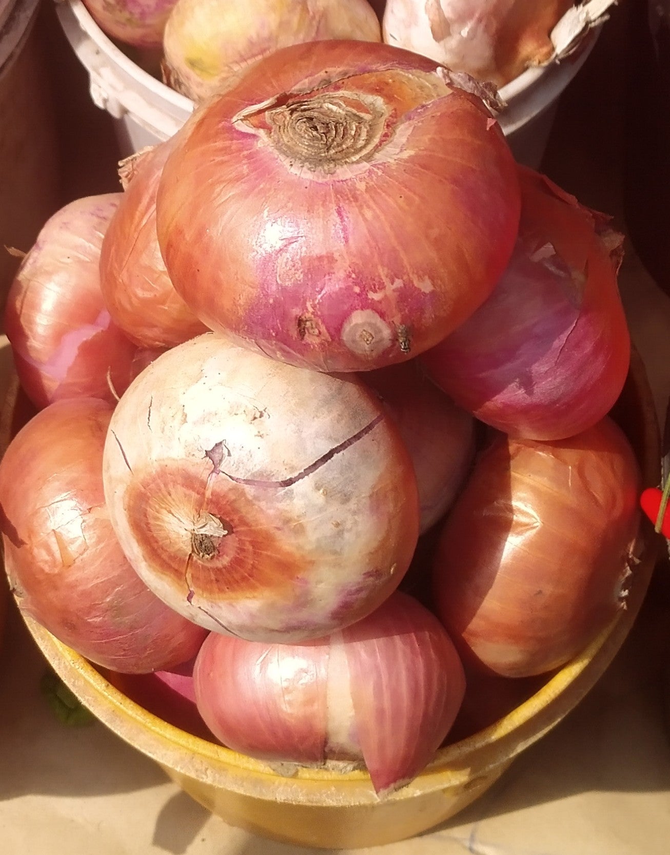 ONIONS