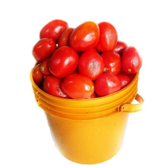 TOMATOES-HAUSA