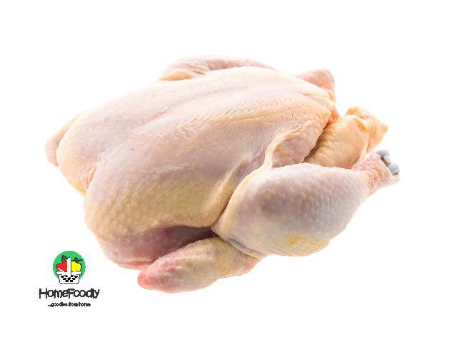 CHICKEN-BROILER