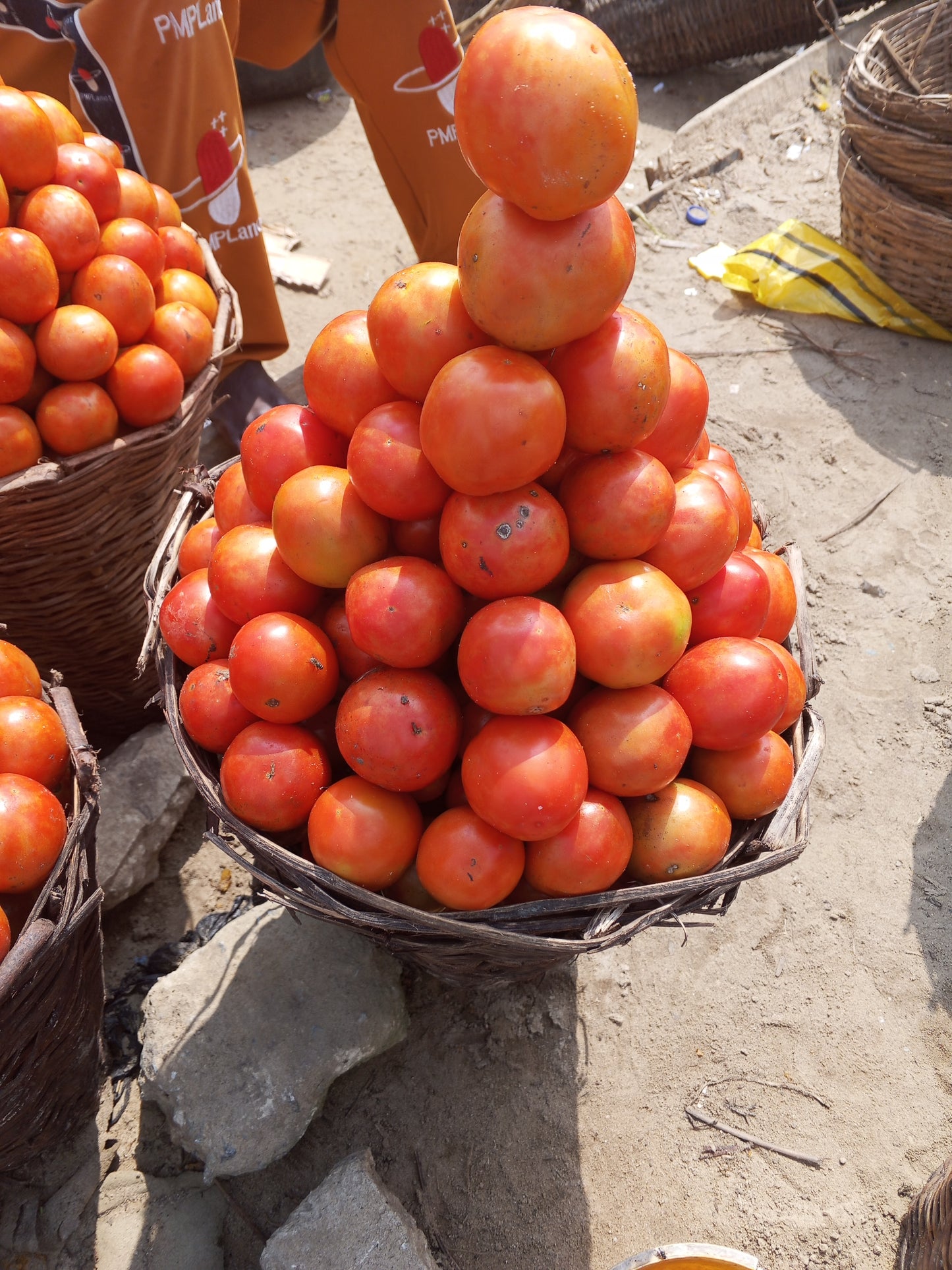 TOMATOES-HAUSA