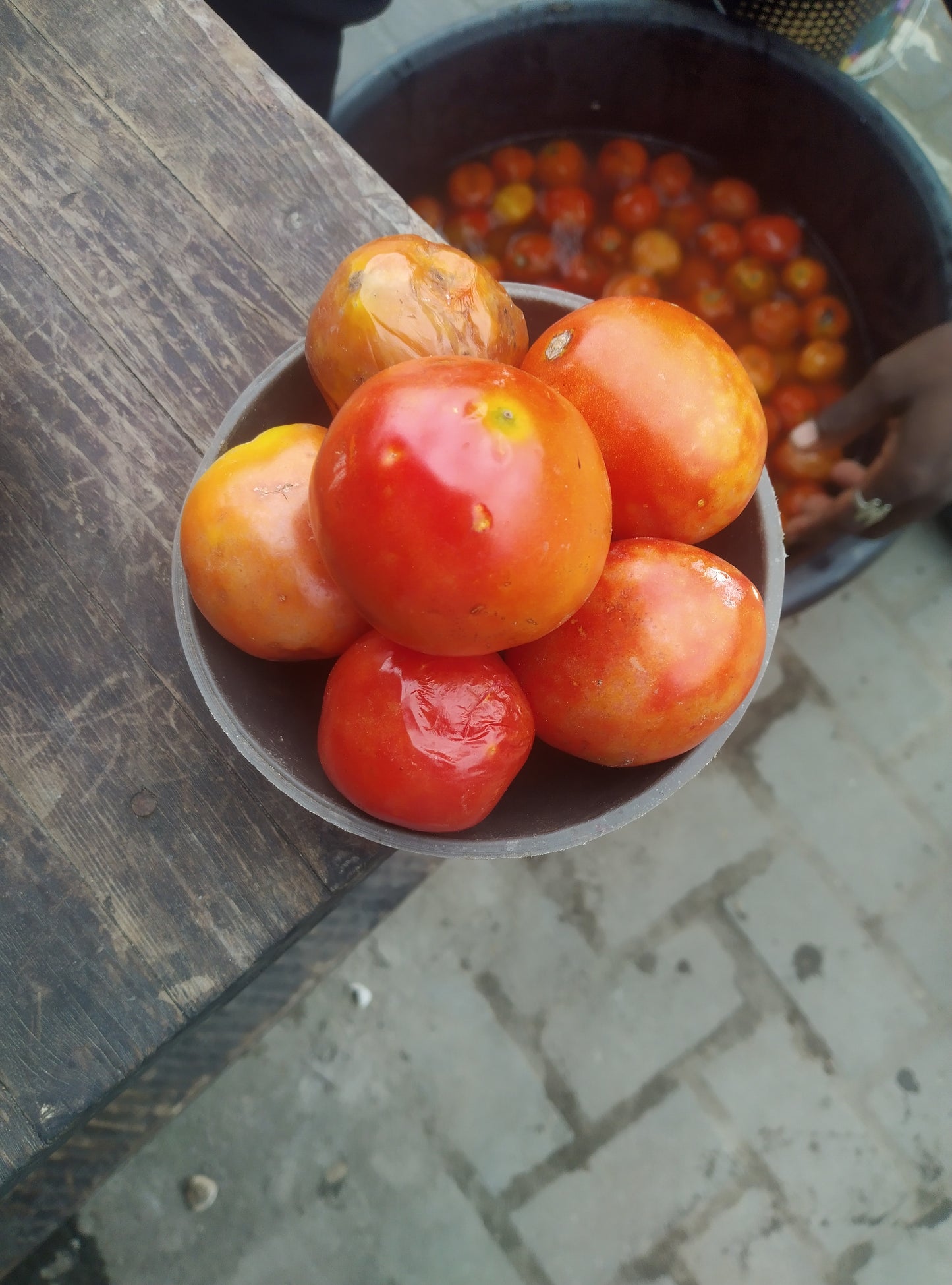 TOMATOES