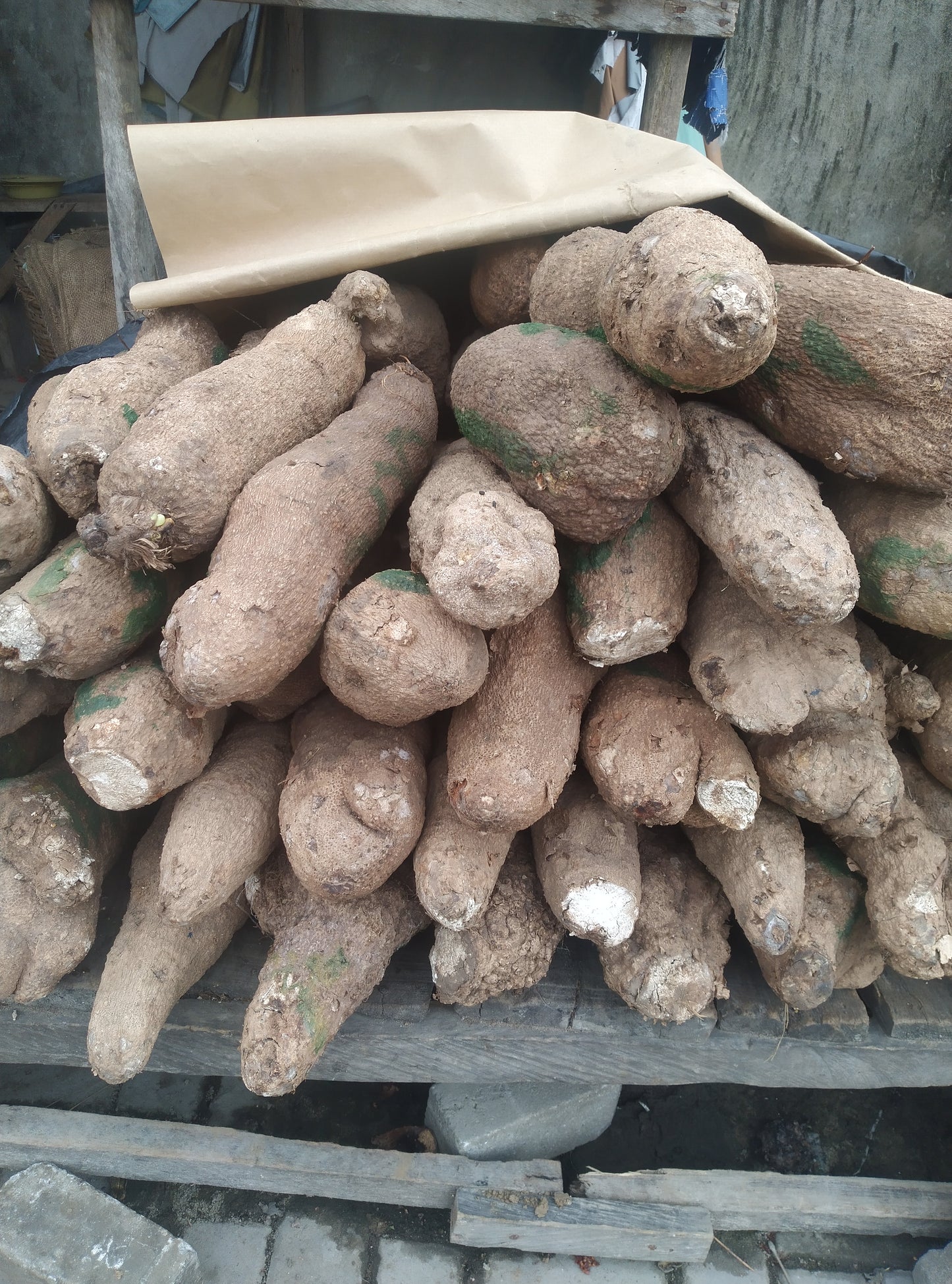 YAM