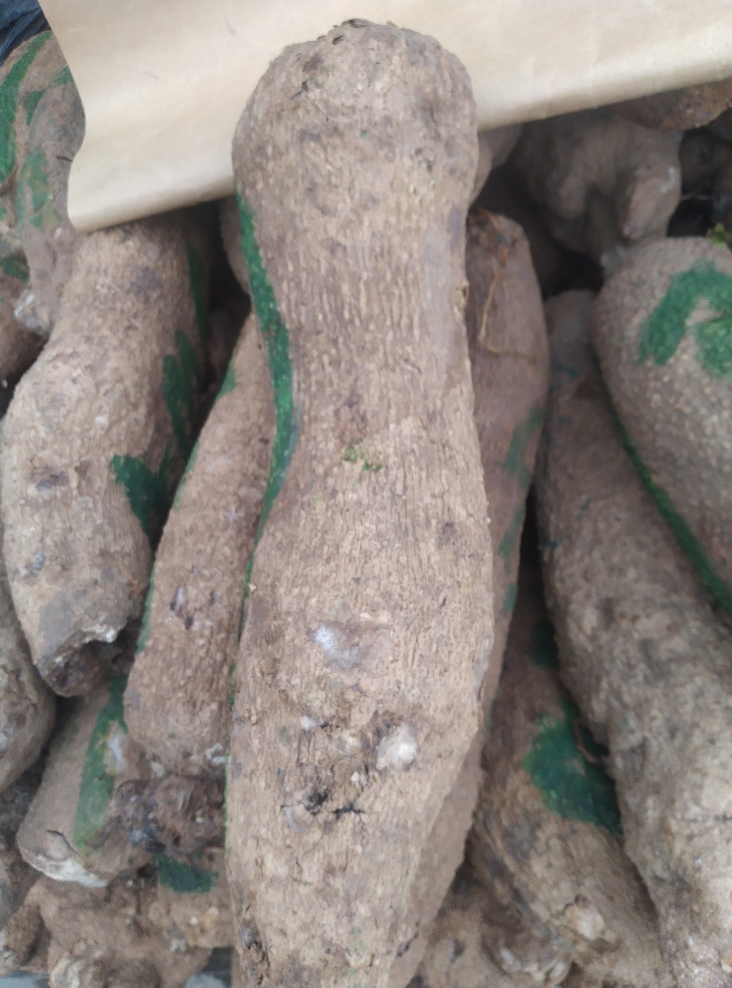 YAM