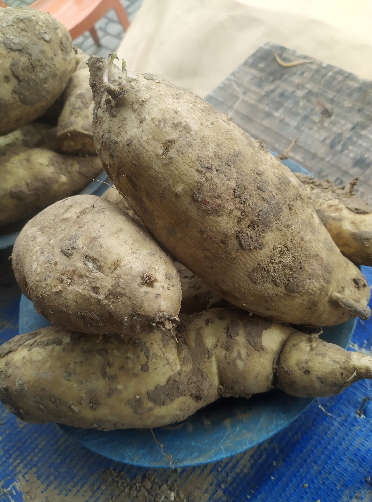 POTATOES