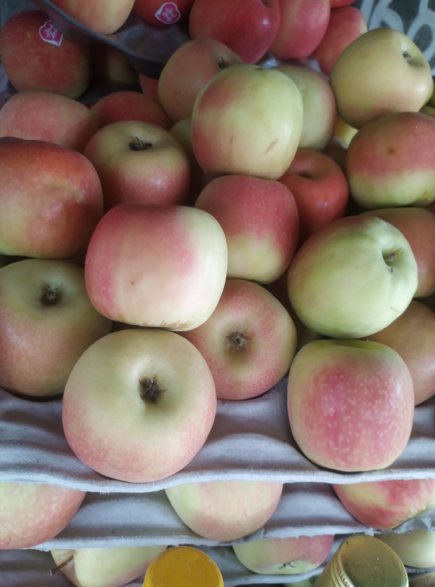 GREEN APPLE
