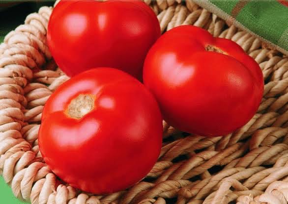 TOMATOES