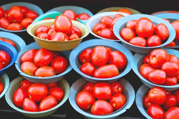 TOMATOES