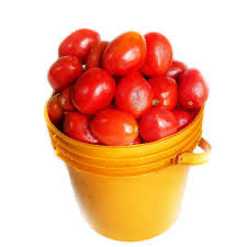 Tomatoes