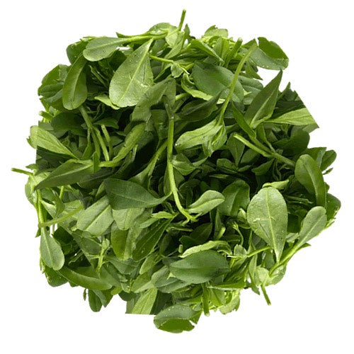 WATER LEAF