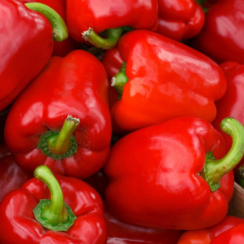 RED BELL PEPPER