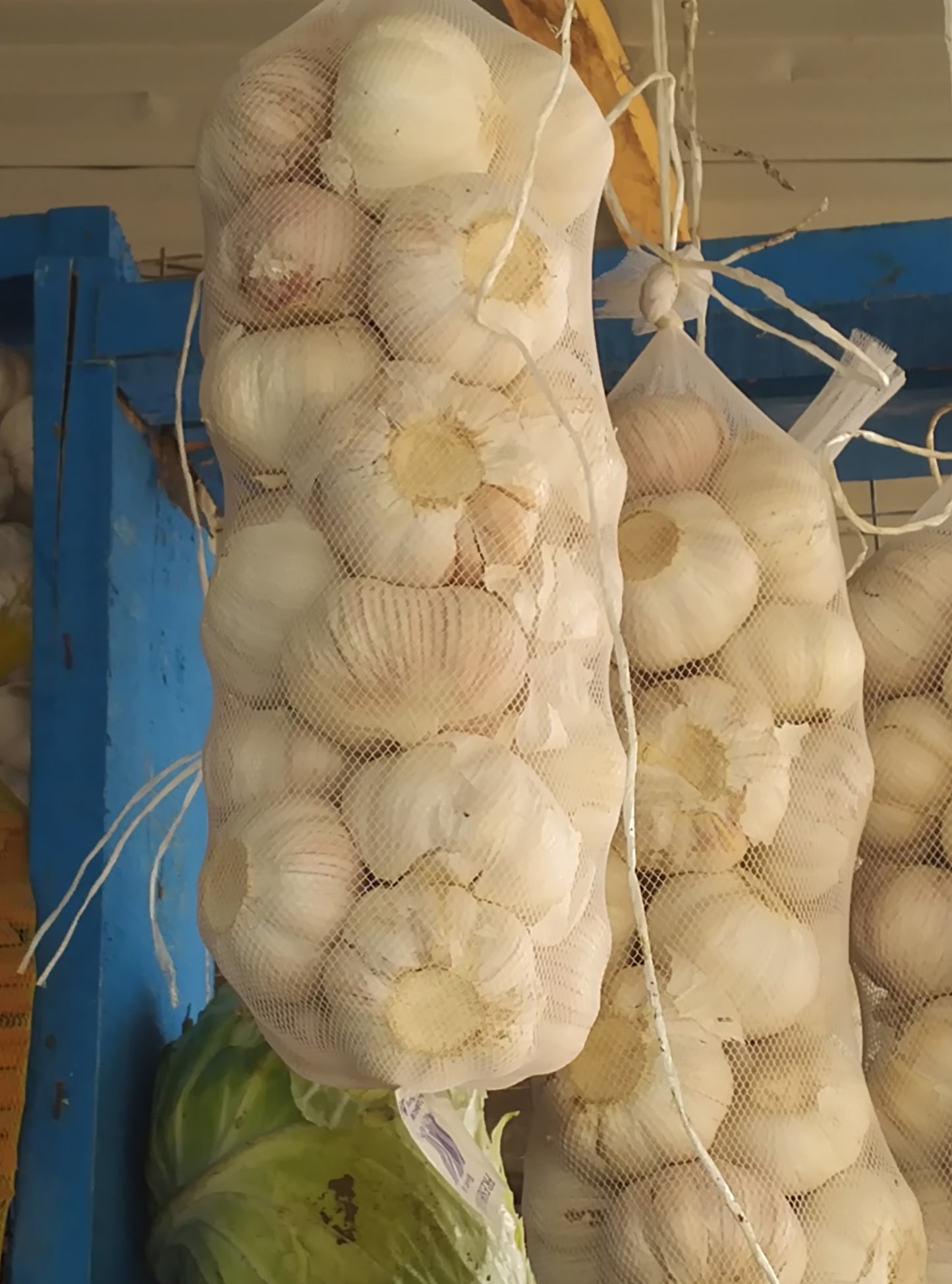 FRESH GARLIC
