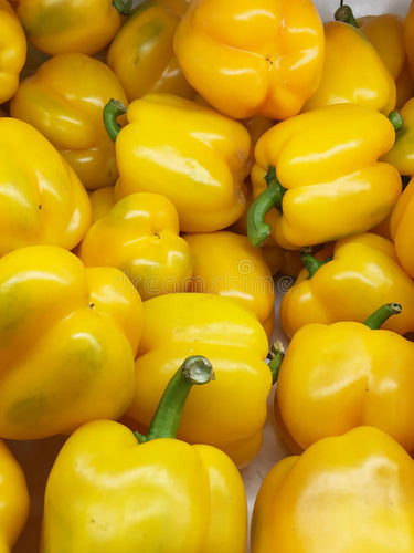 YELLOW BELL PEPPERS