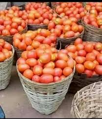TOMATOES(BASKET)