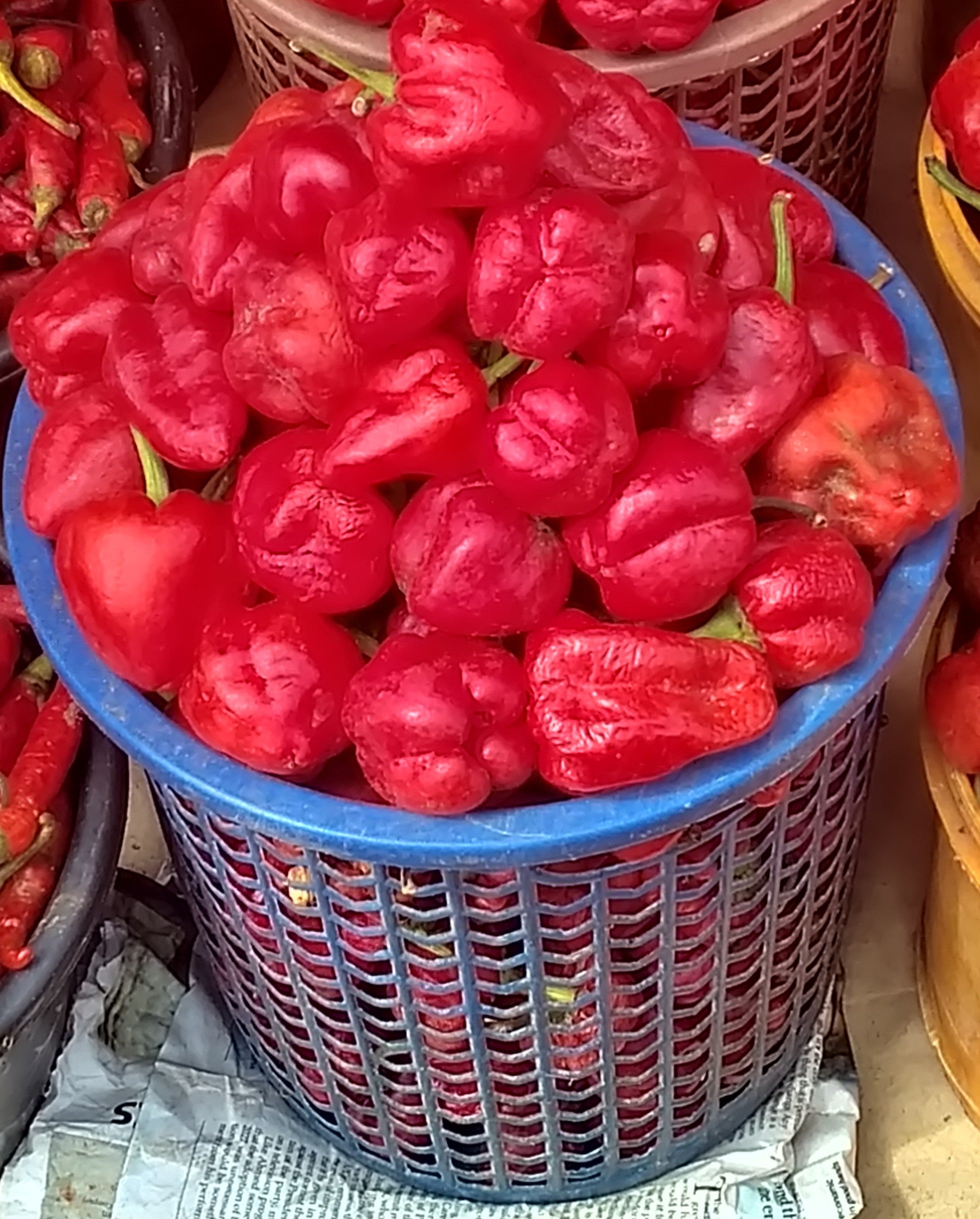 PEPPER-TATASE