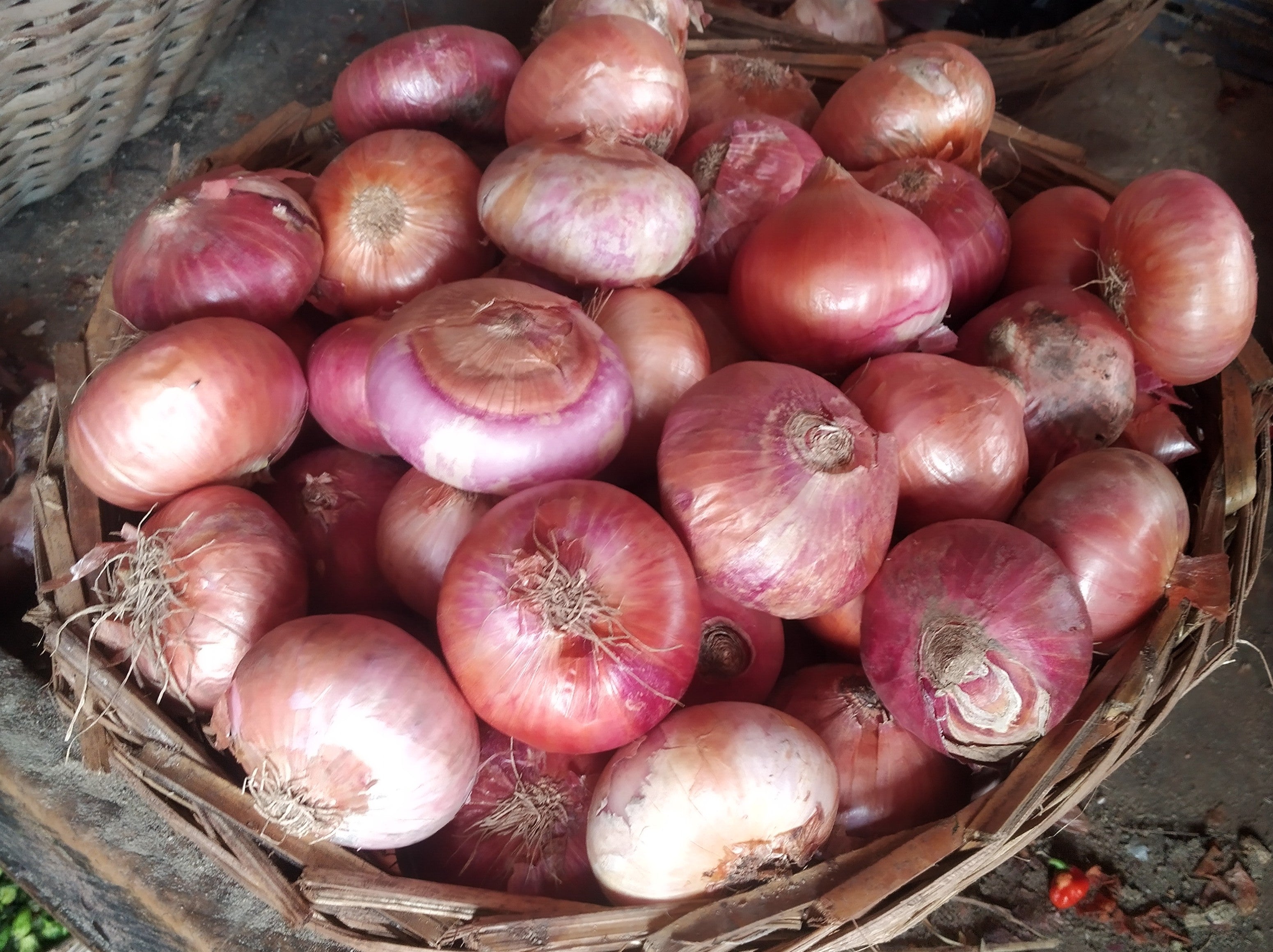 ONIONS