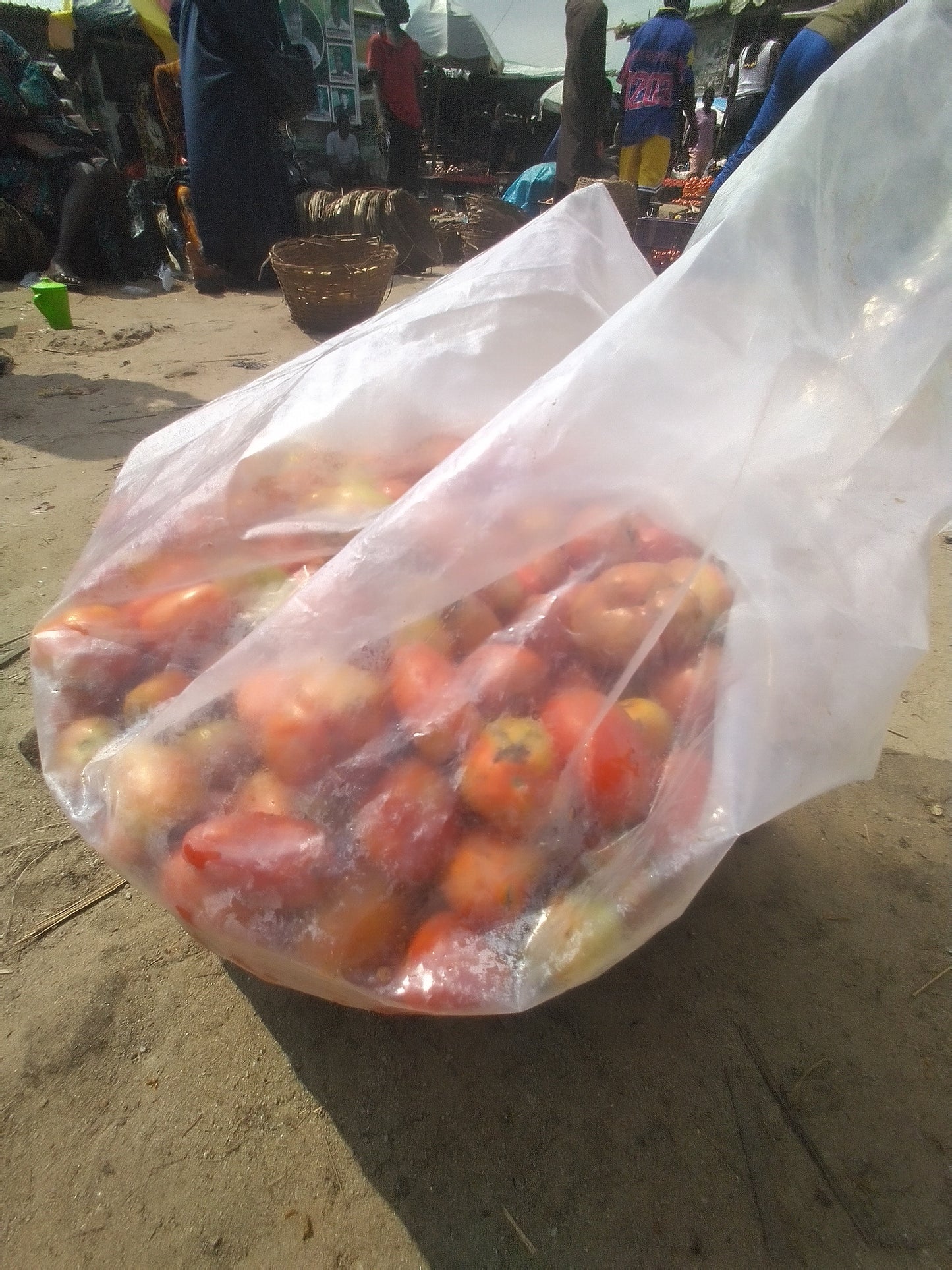YORUBA TOMATOES