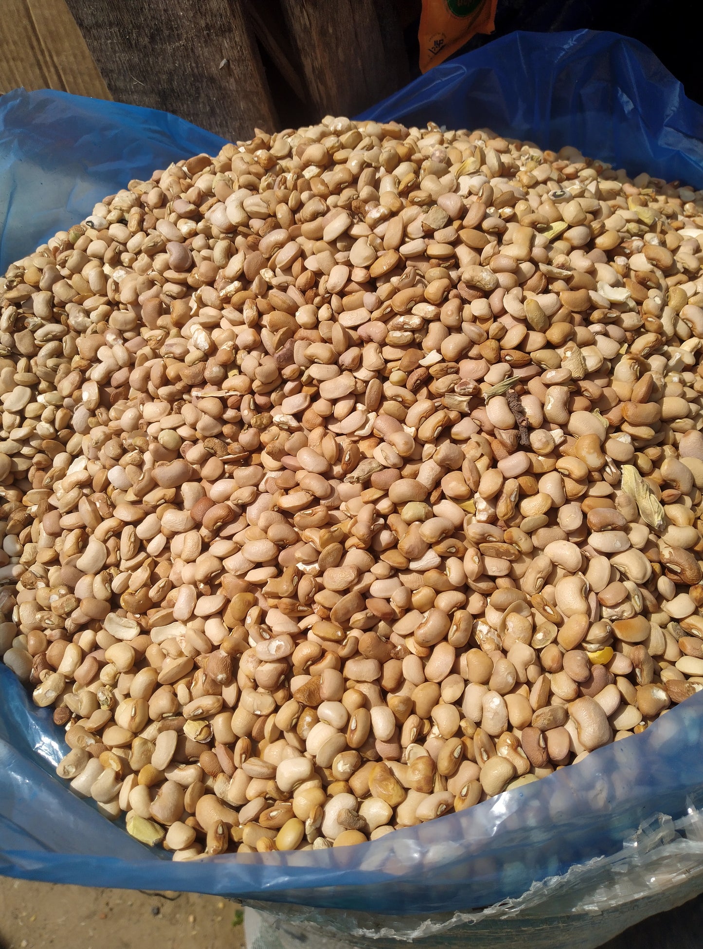 BEANS- OLOYIN