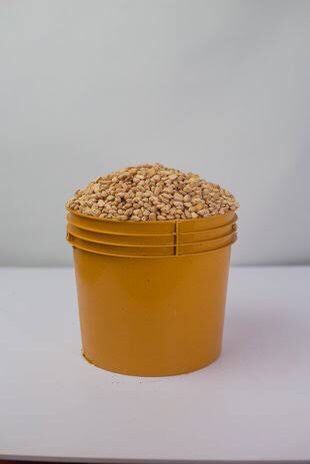 BEANS