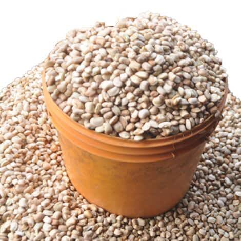 BEANS- MILK BEANS