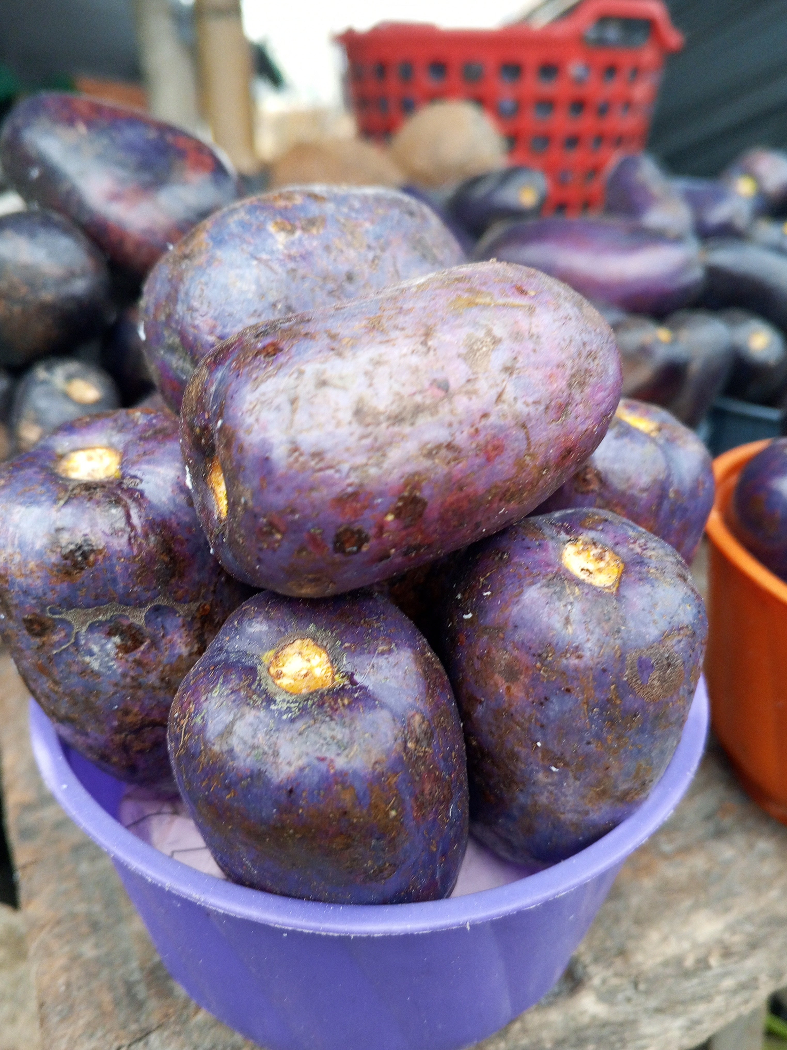 FRESH AFRICAN PEAR(UBE)