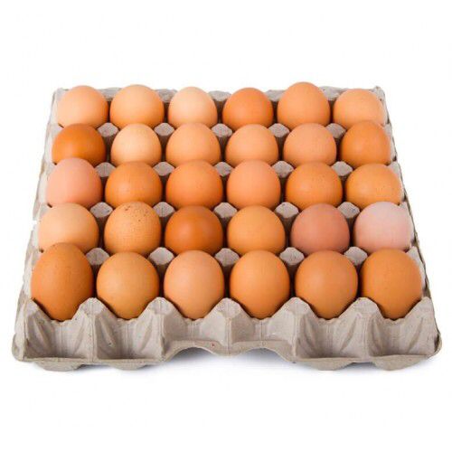 EGGS