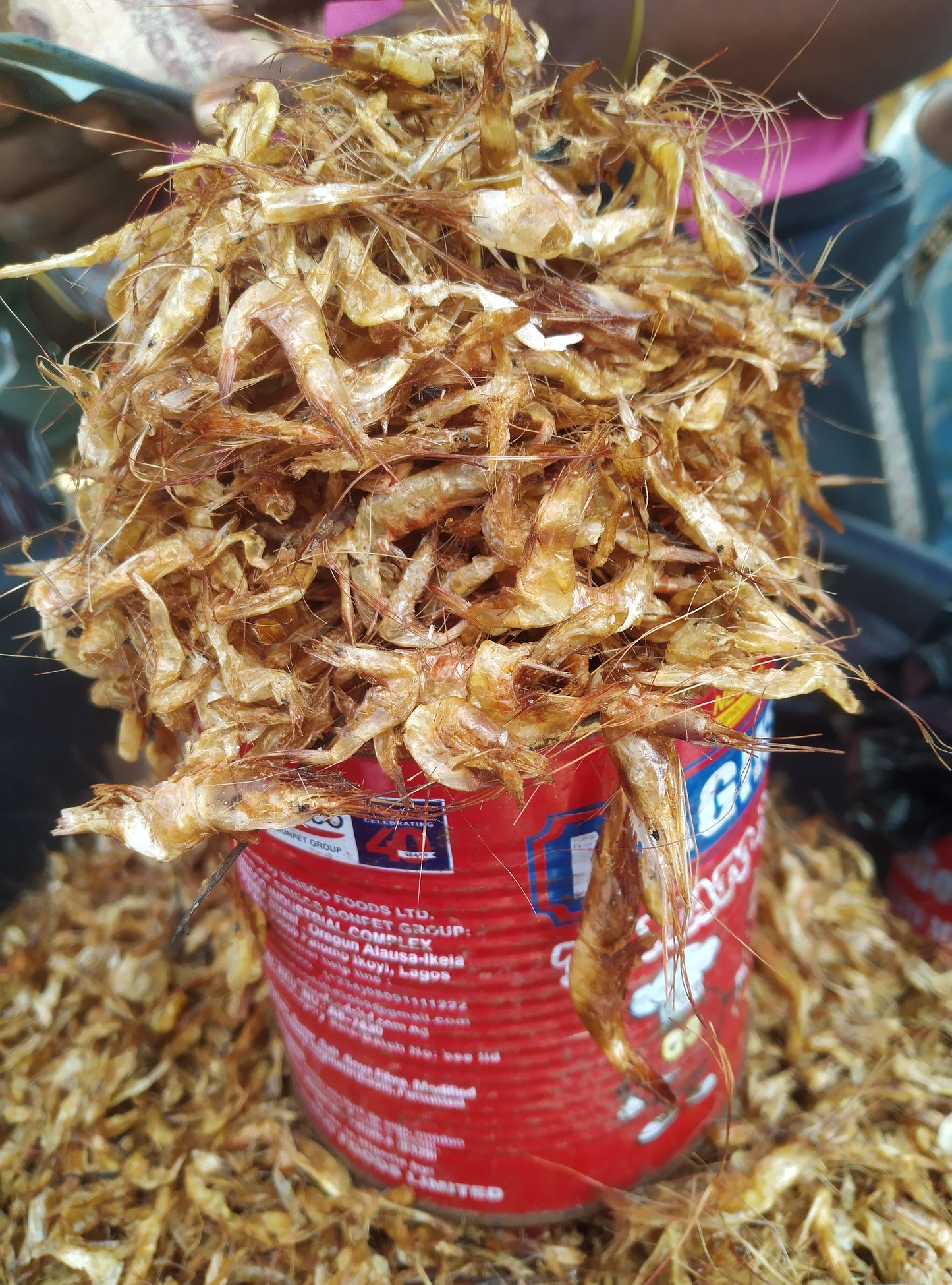 CRAYFISH