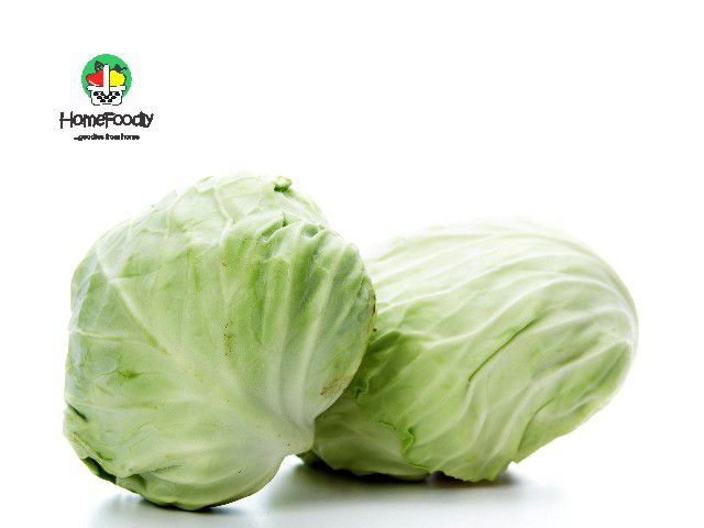 Cabbage