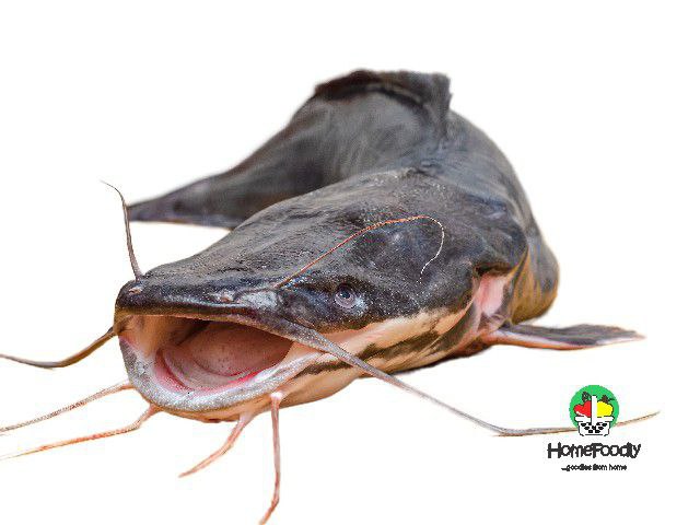 Dried Catfish