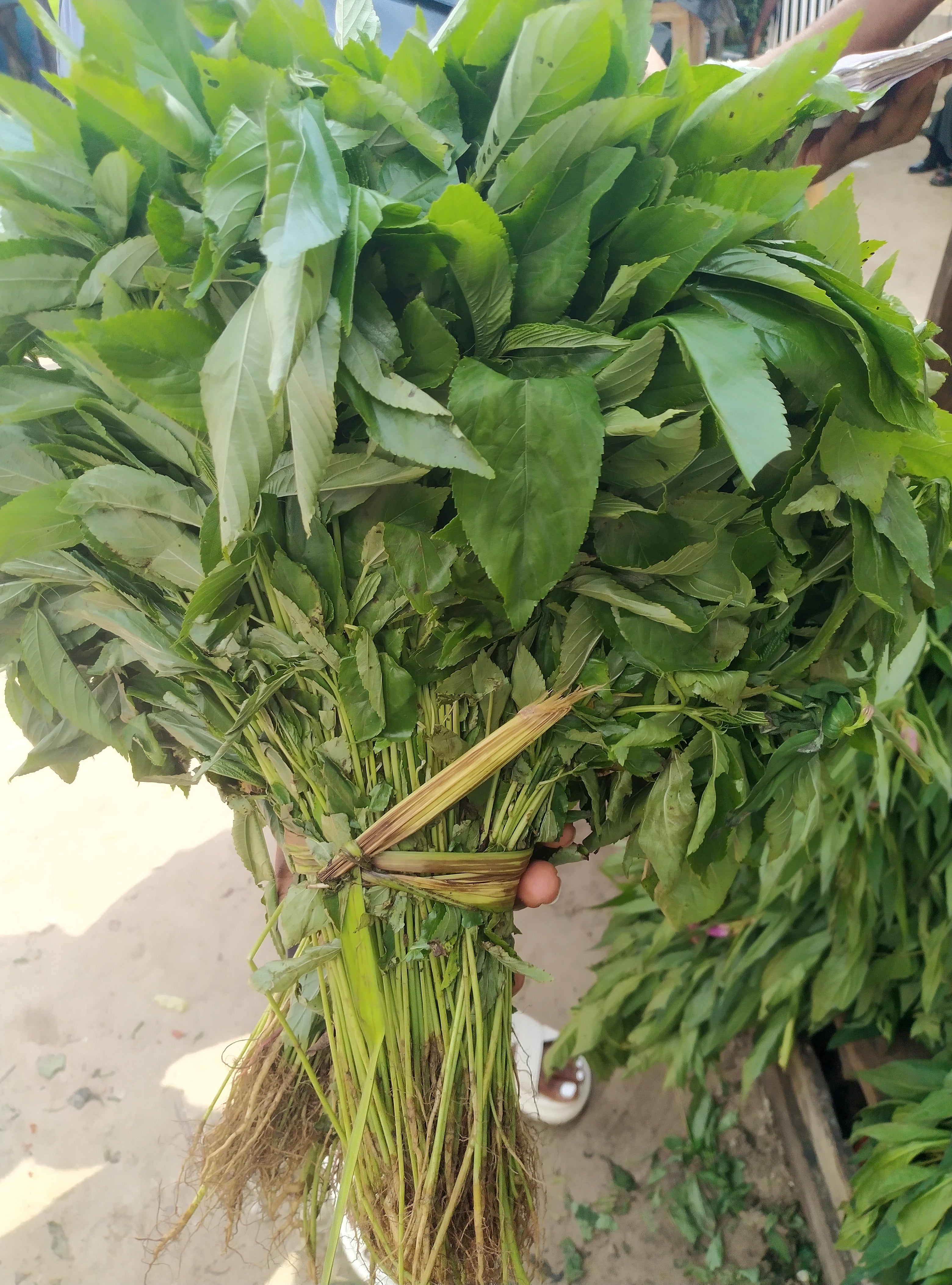 VEGETABLE-EWEDU