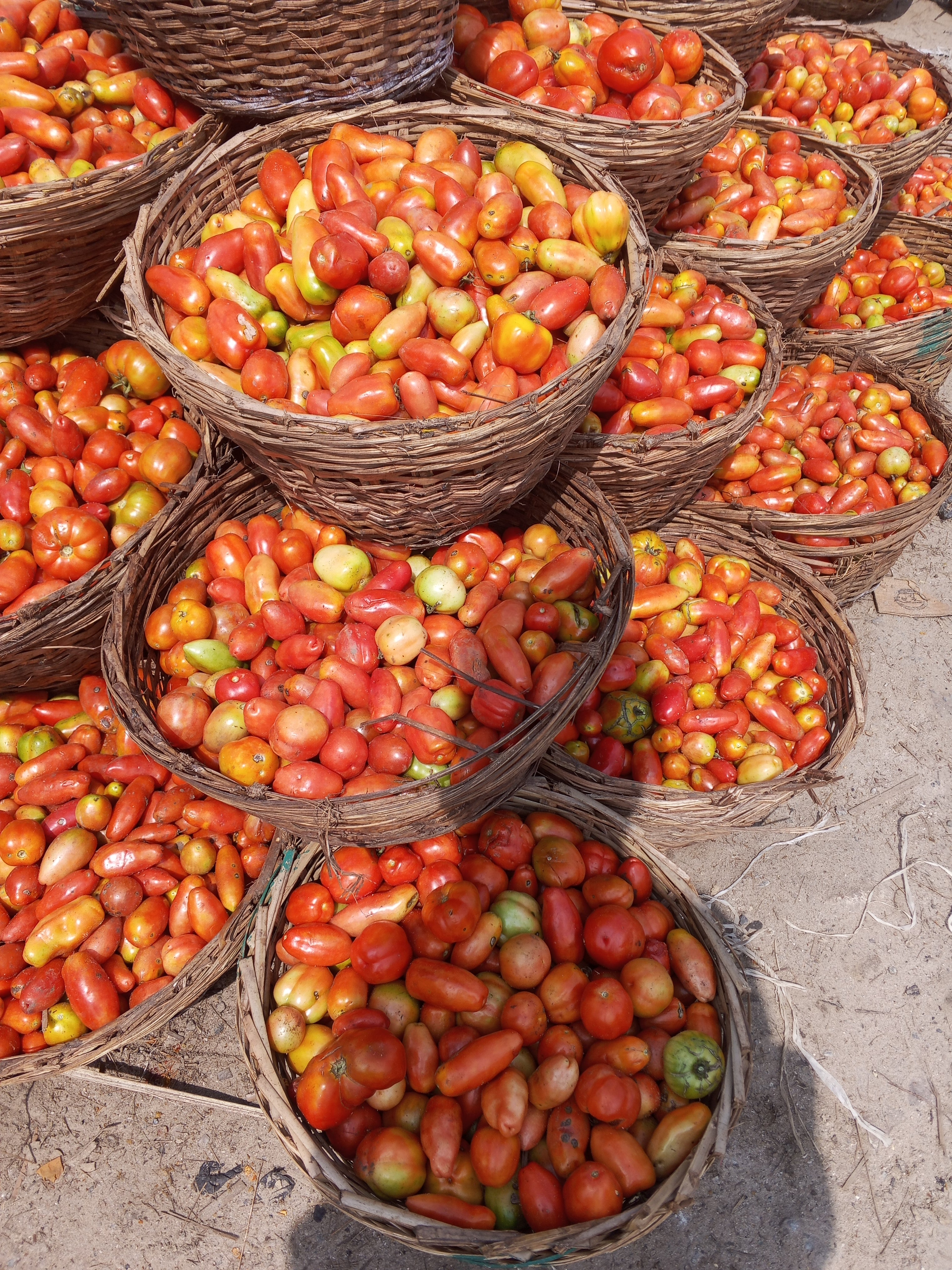 YORUBA TOMATOES
