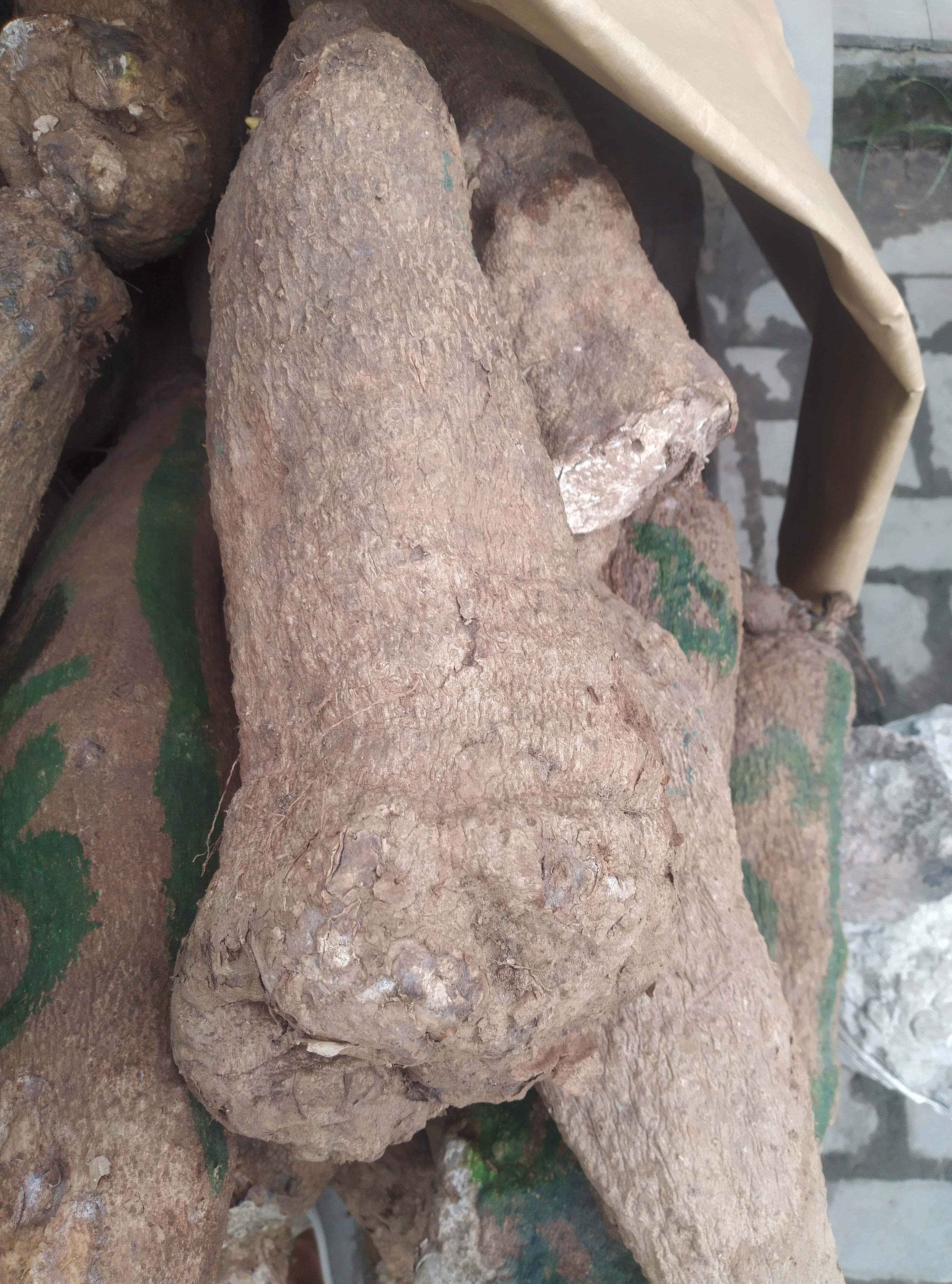 YAM