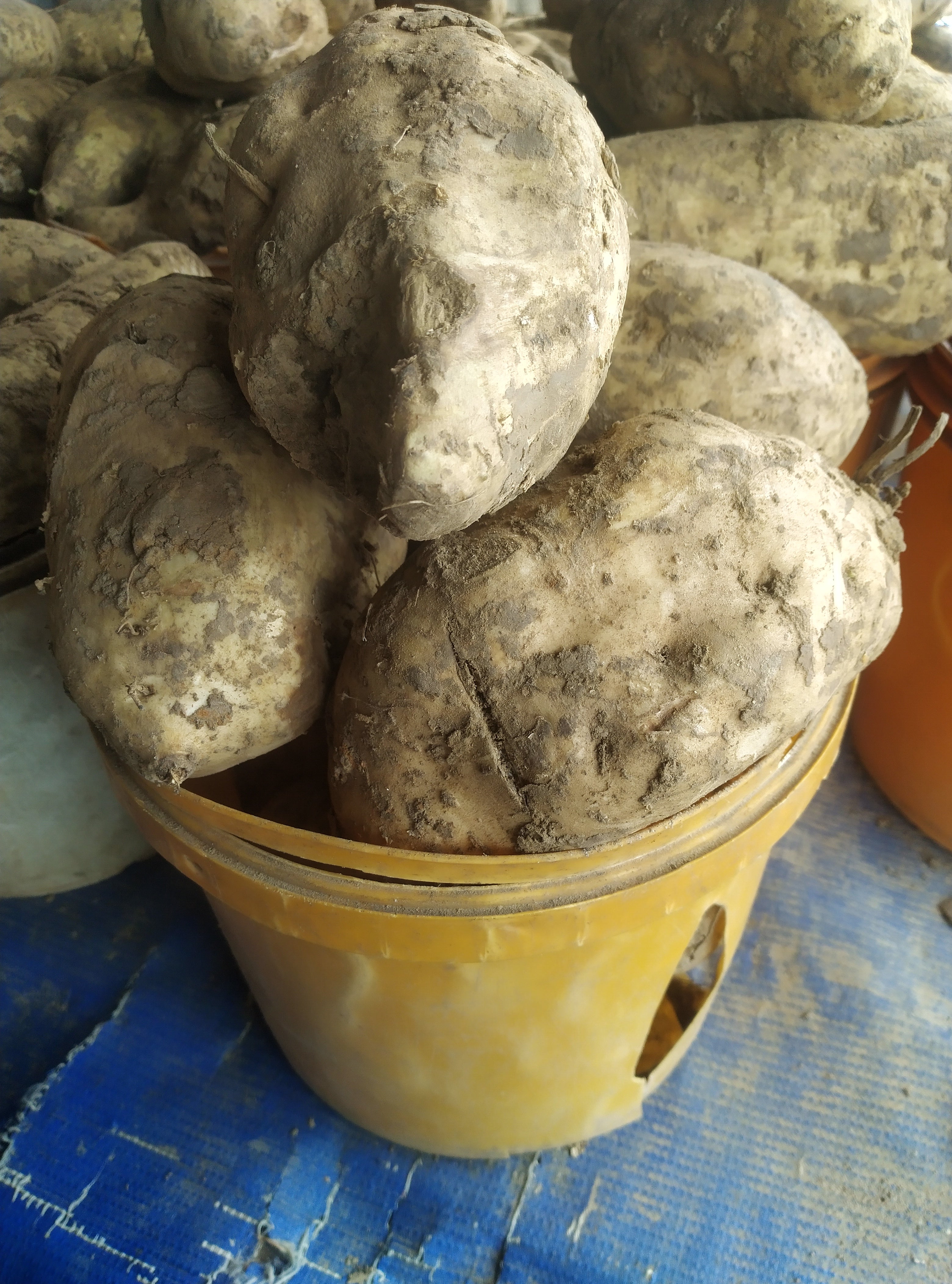 POTATOES