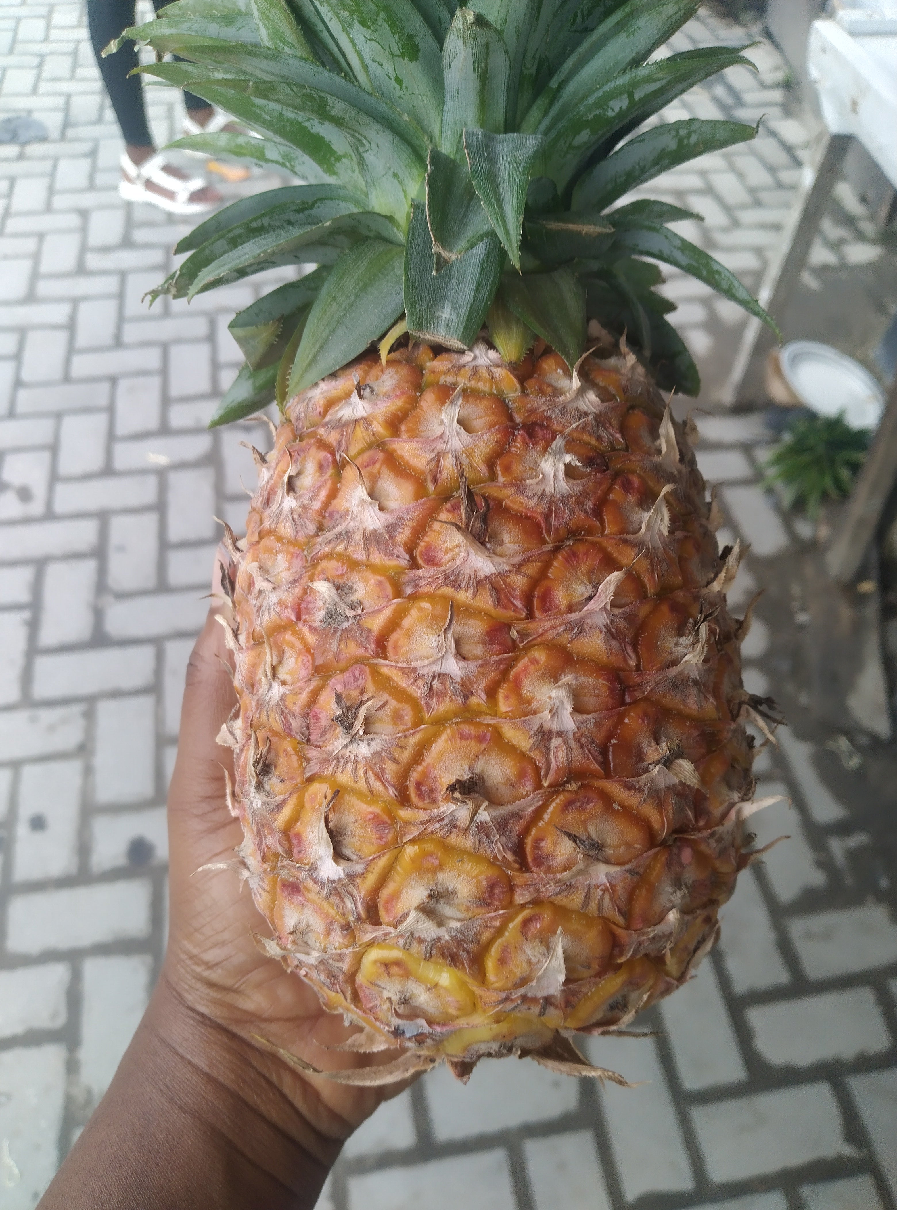 PINEAPPLE