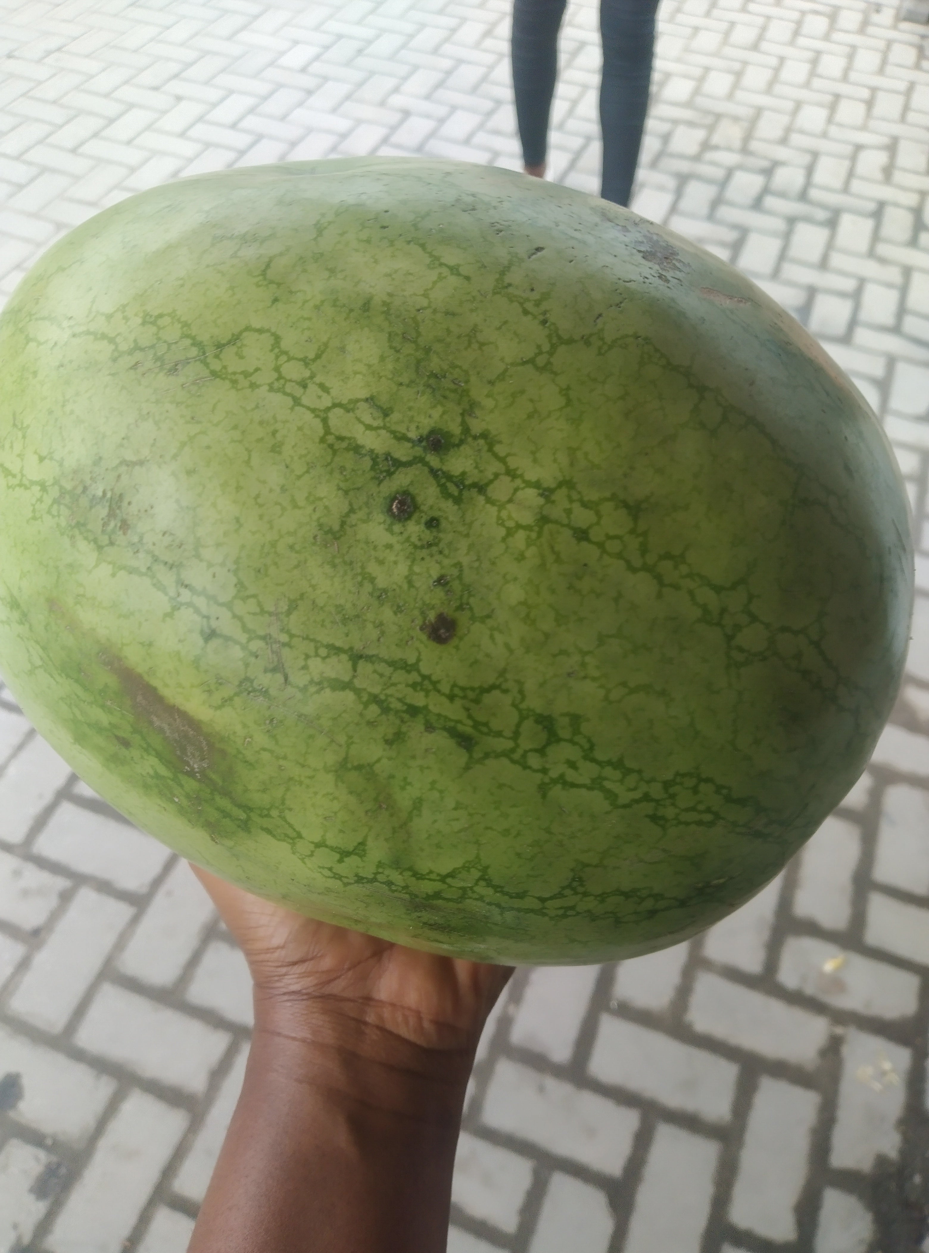 WATERMELON