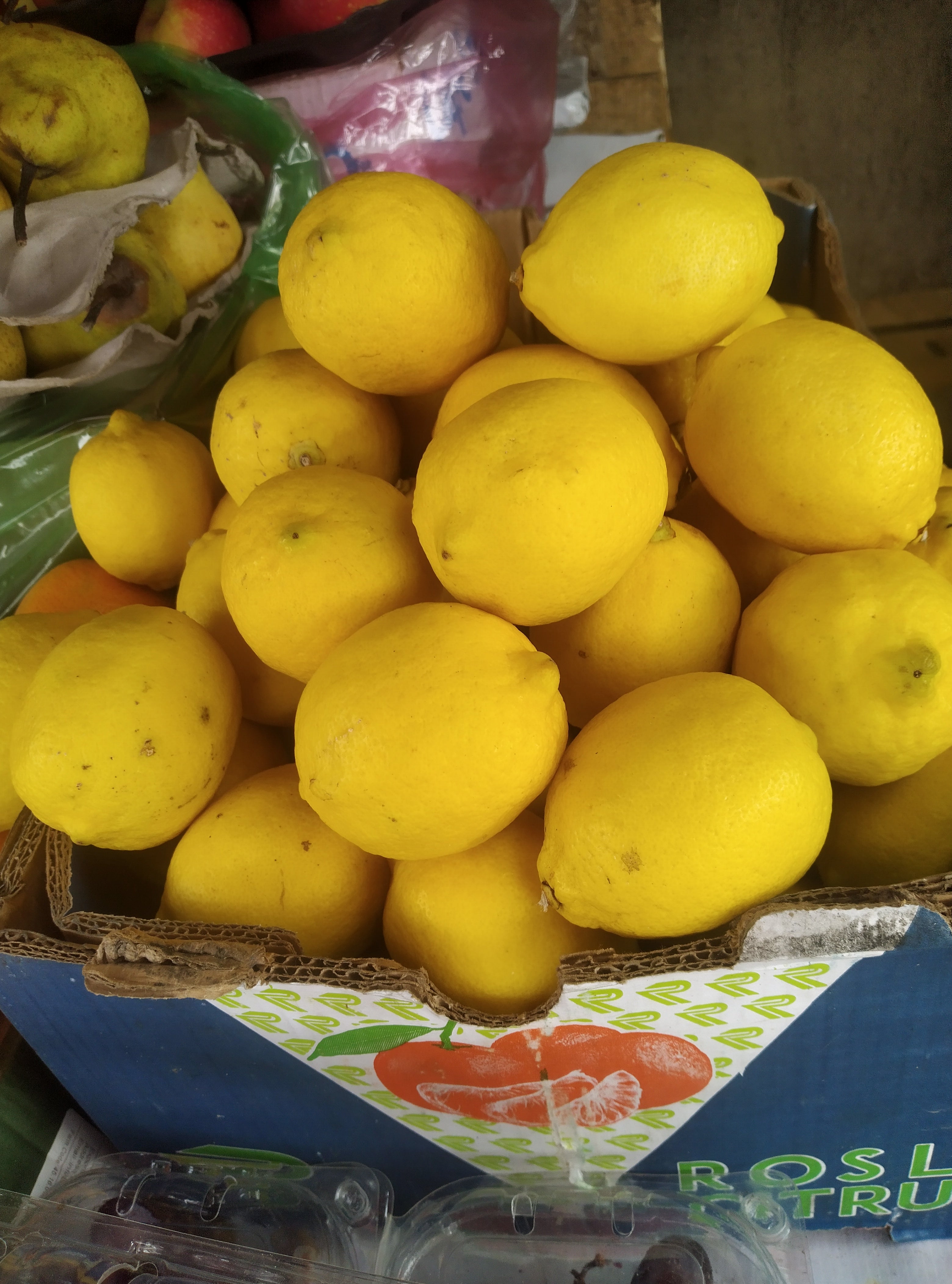 FRESH LEMON