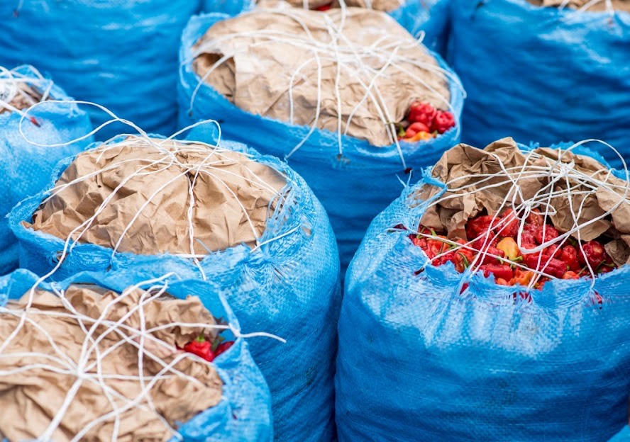 BAGS OF RODO