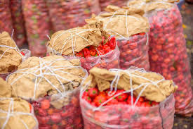 BAGS OF RODO