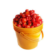 BAGS OF RODO