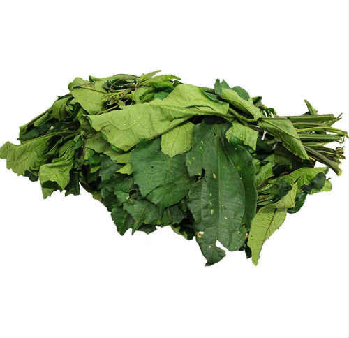 UGWU(BUNCH)