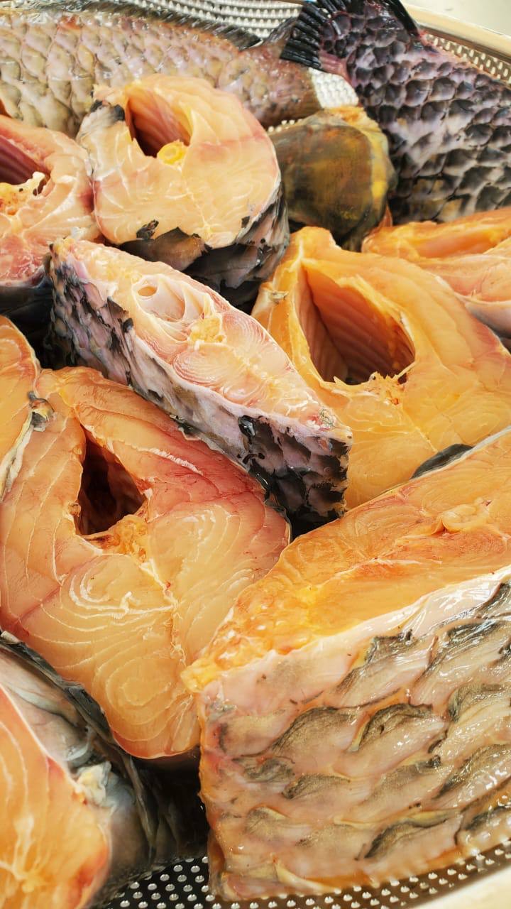 Aika - Mangala Fish