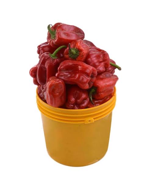 PEPPER- TATASE