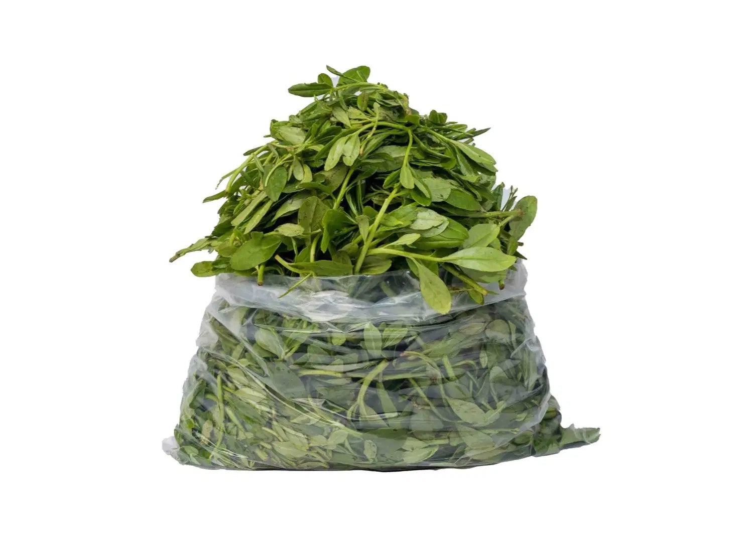 WATER LEAF