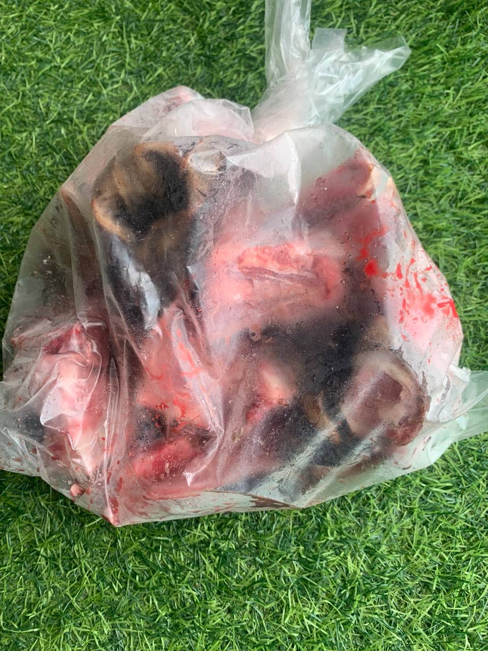 GOAT LEG