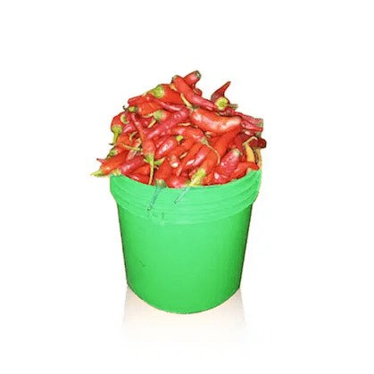 PEPPER-SHOMBO