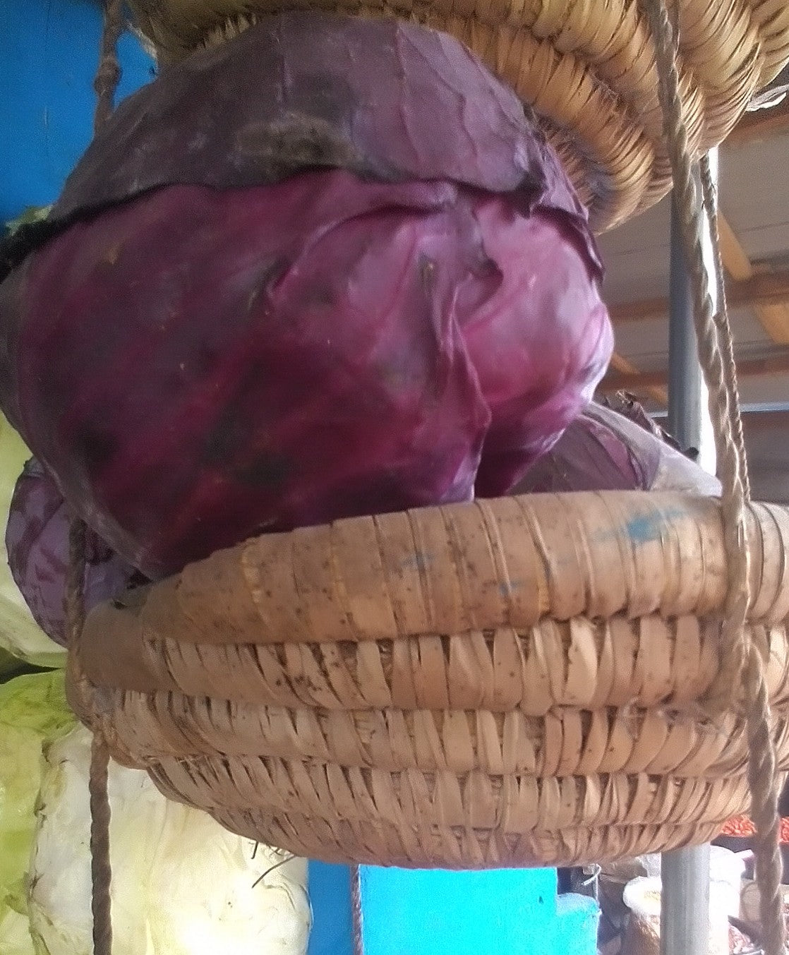 PAWPAW CABBAGE