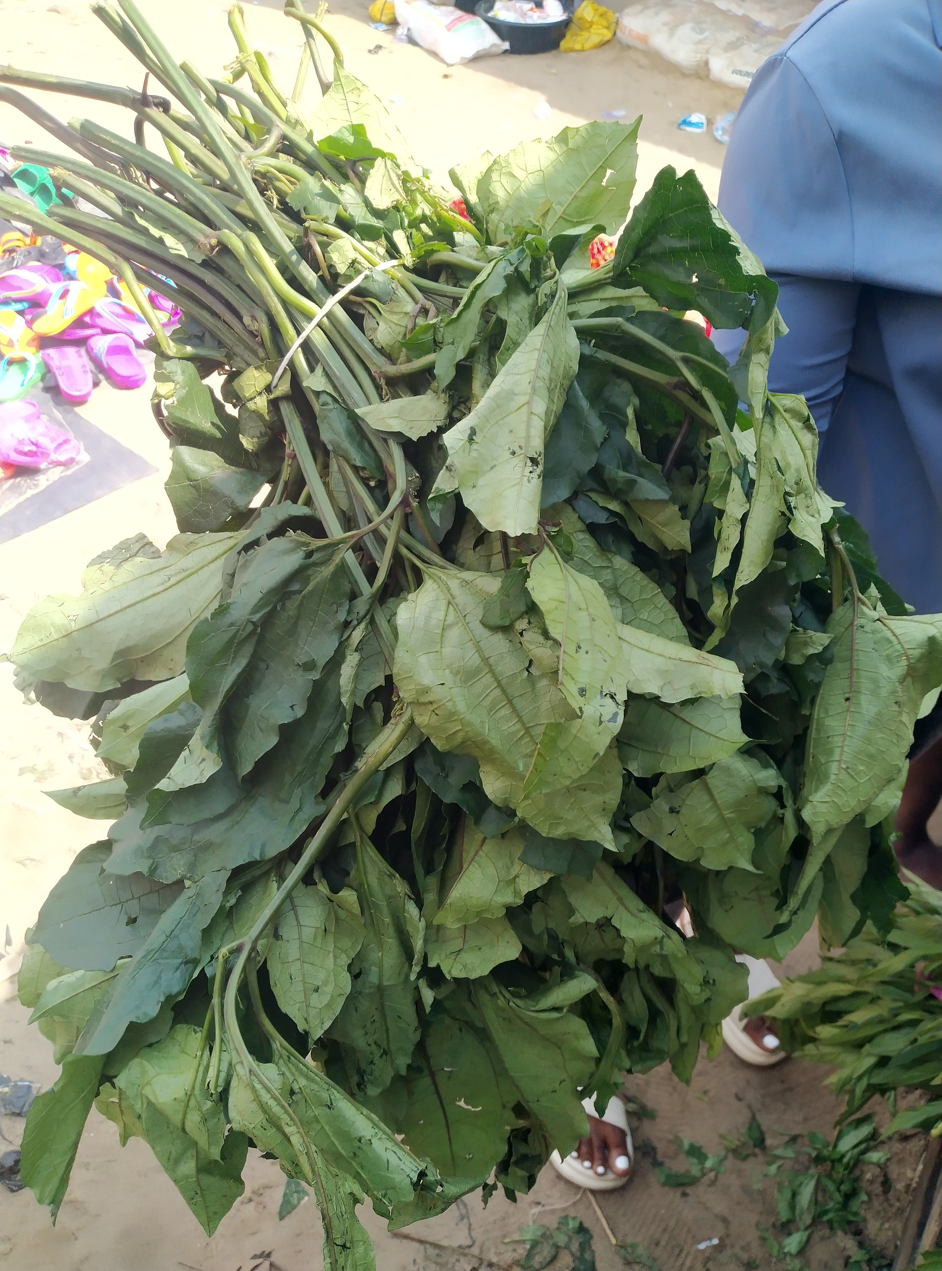 VEGETABLE-UGU