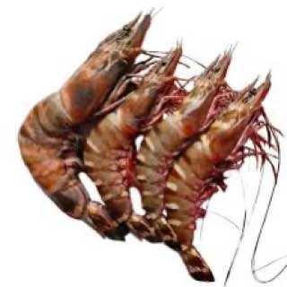 Jumbo Prawn